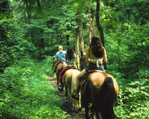 Horseback Riding